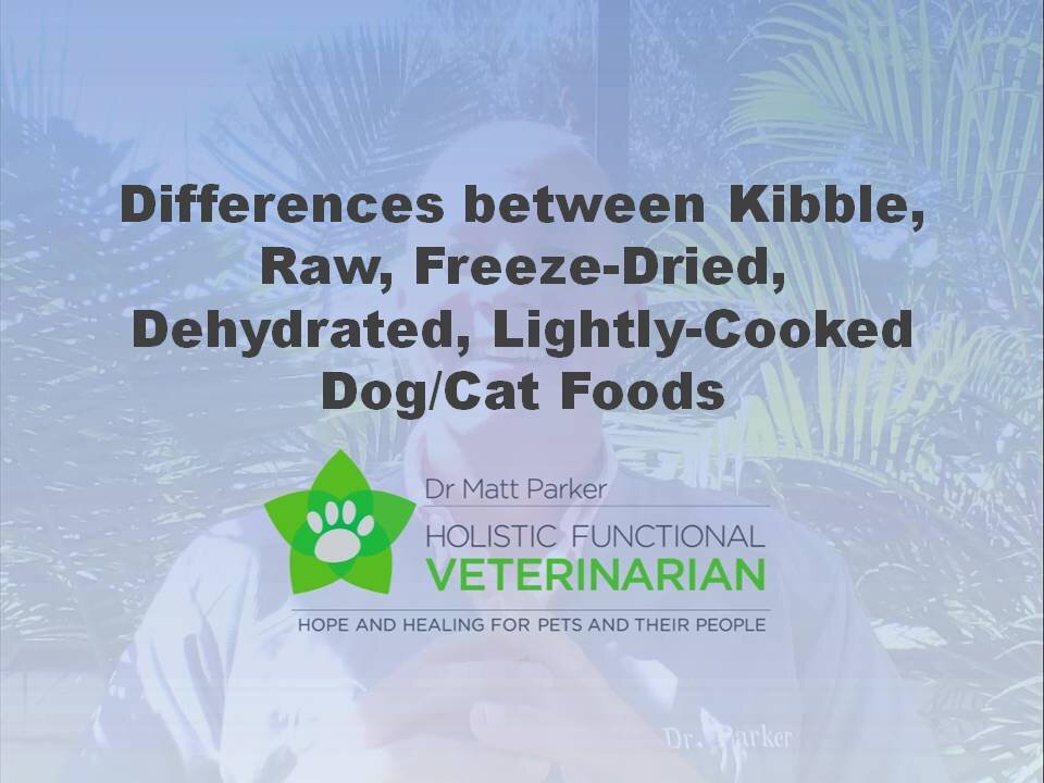 Different Types of Dog/Cat Foods