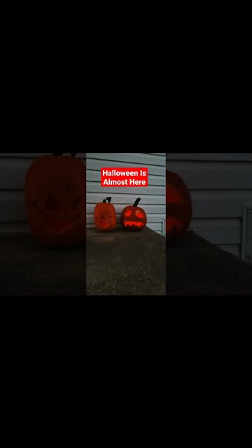 Got The Jack O'Lanterns Out With Some Electric Candles. #halloween #halloween2022 #shorts #pumpkin