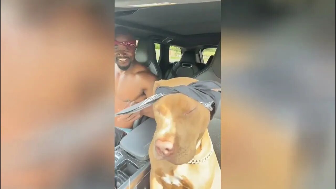 Funny Animal Videos 2022 #1