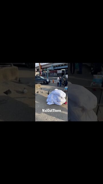 Kensington Christmas Eve 2022