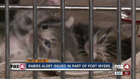 Rabies Alert issued in section of Fort Myers