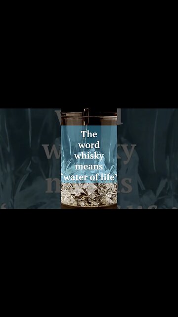 Alcohol has Health Benefits 🥃#joerogan