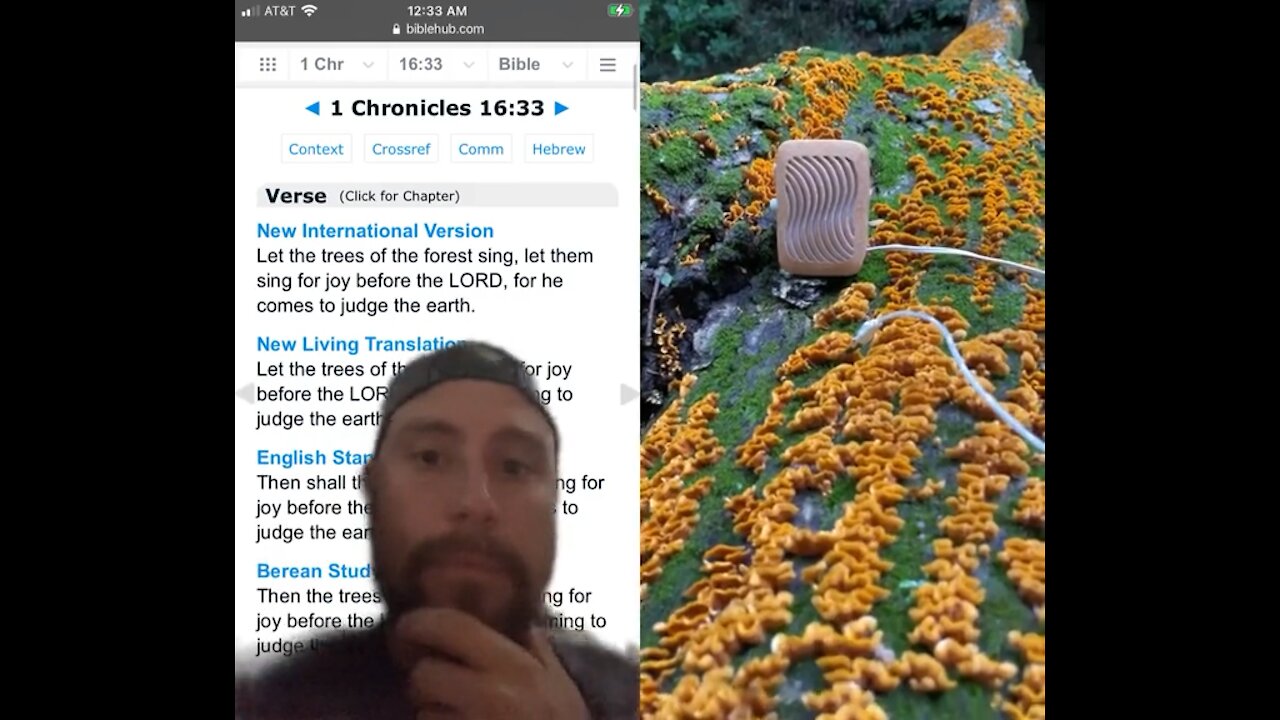 Amazing! Encourage your faith