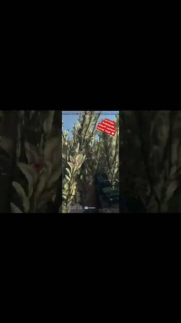 What Would You Call This… On A Plate!? 🤷🏻‍♂️😎 #shorts #modernwarfare #pc #mw2 #cod #clips