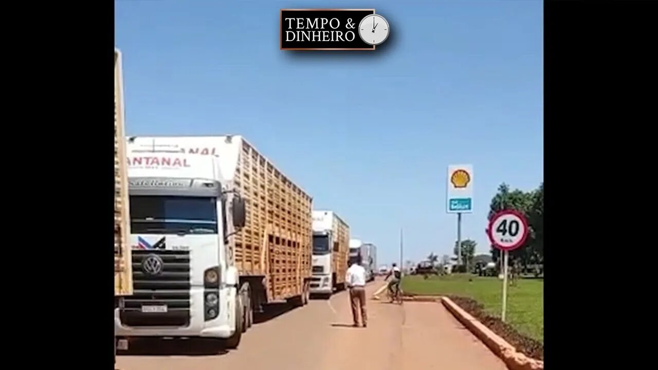 Bloqueio de caminhoneiros impede transporte de animais vivos no MT