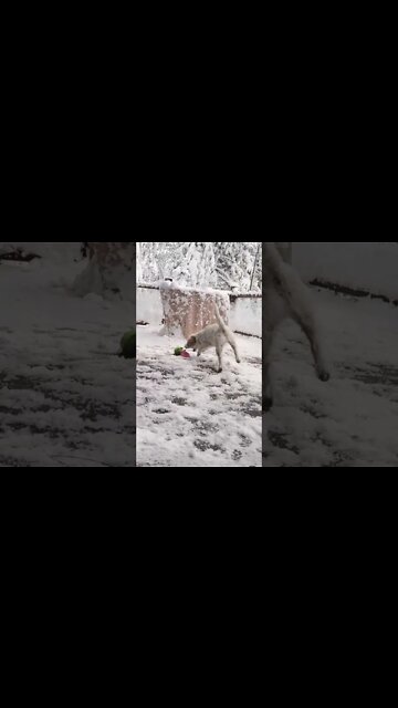 Ares fun post snow plow