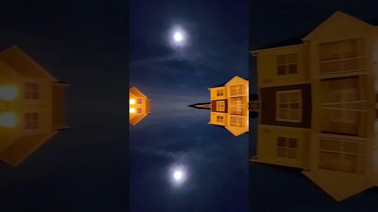 M.E.G FILE-477468655777678887456637838375