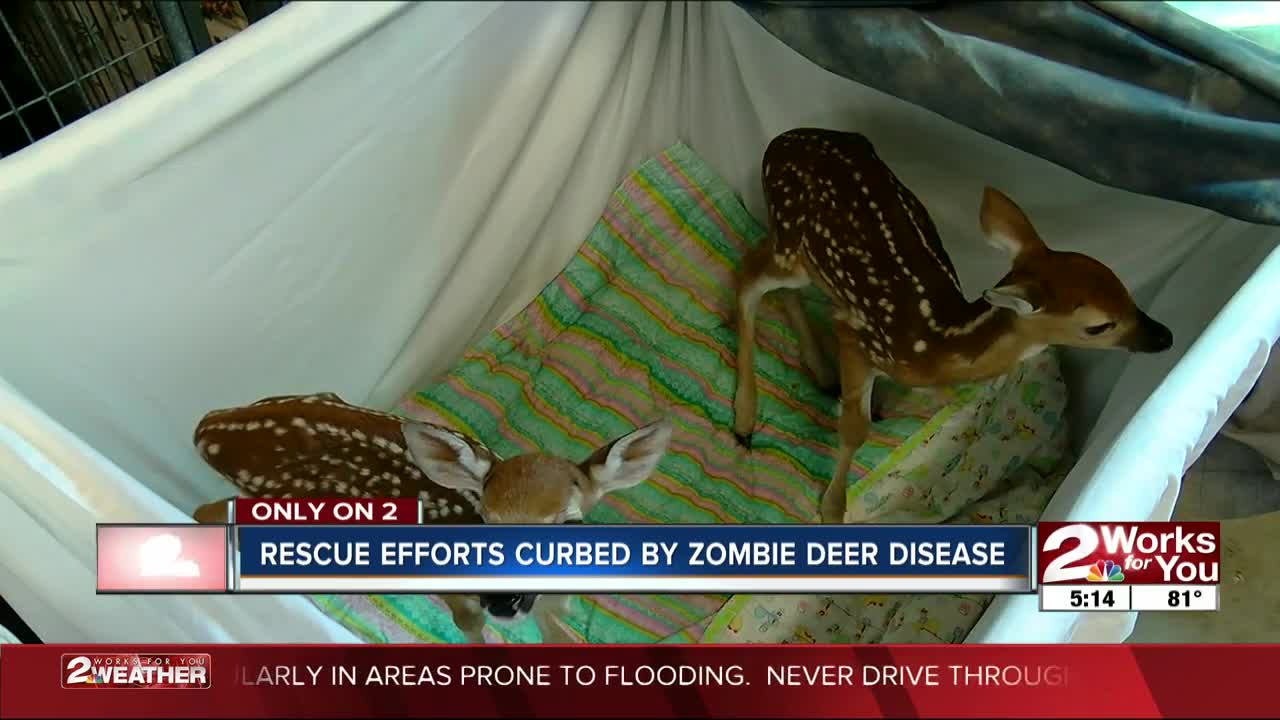 Rescue efforts curbed by "zombie deer disease"