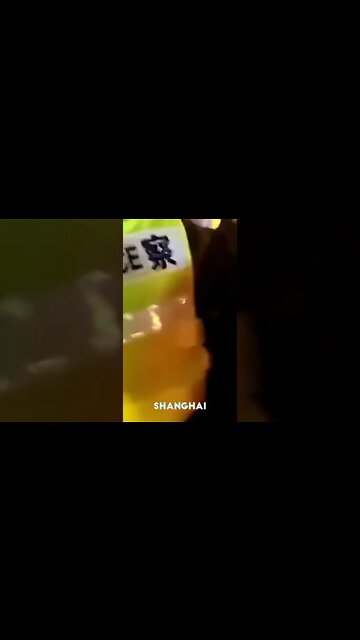 Police In Shanghai Haul Away A Protestor As Tensions Flare Over China’s Tyrannical COVID Lockdowns