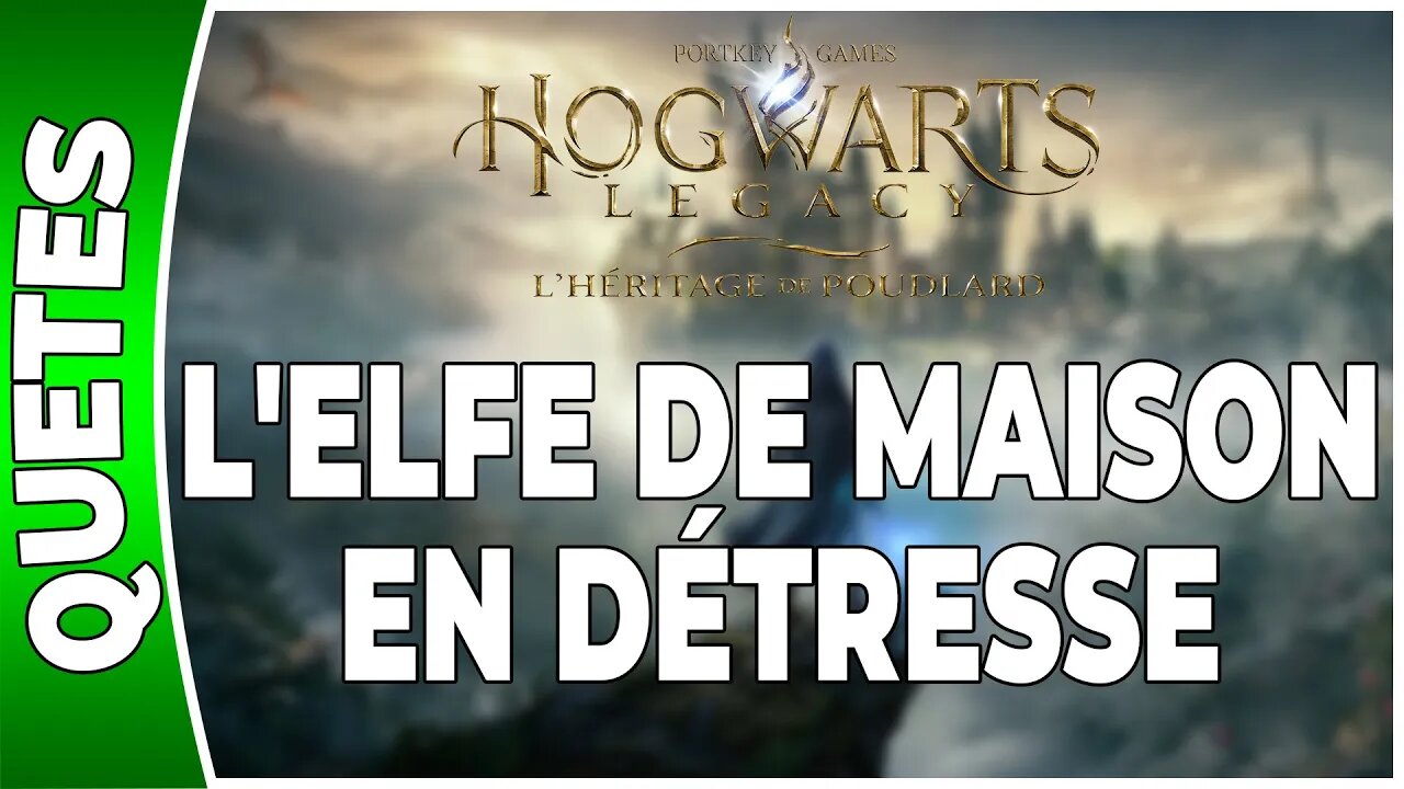 Hogwarts Legacy : l'Héritage de Poudlard - L'ELFE DE MAISON EN DÉTRESSE - Annexe 38 - [FR PS5]