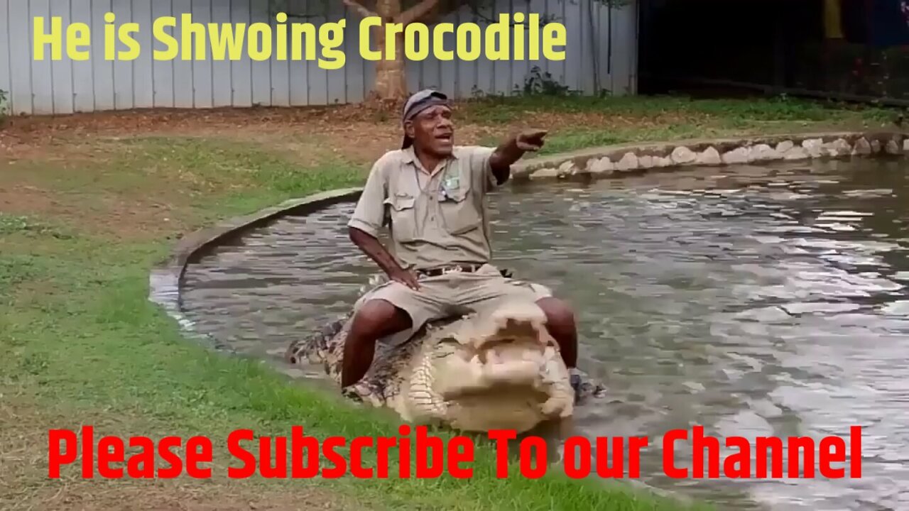 Who is Showing Crocodile to people video