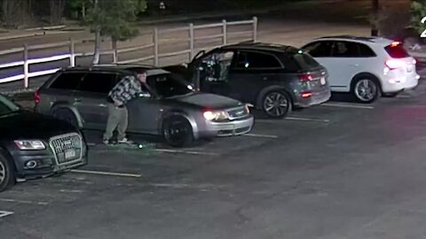 Surveillance video shows car thieves targeting Audis in body shop parking lot