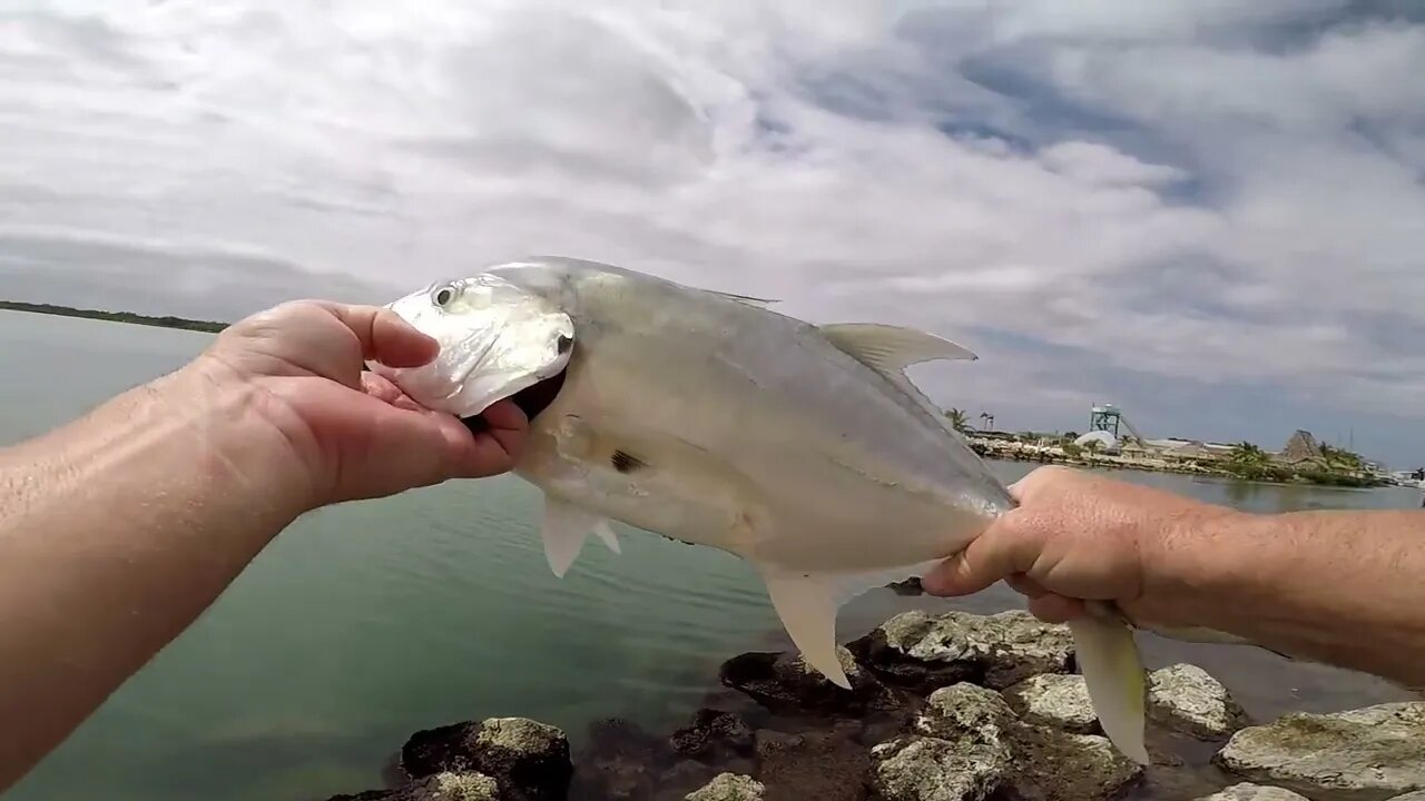 Bank fishing, fishing video, Old Belize City Marina, Travel Belize, Fishing Belize. Dinner fishing