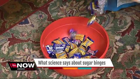 Ask Dr. Nandi: What science says about sugar binges