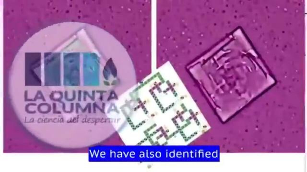 La..Quinta..Columna.."We..Have..Found..."