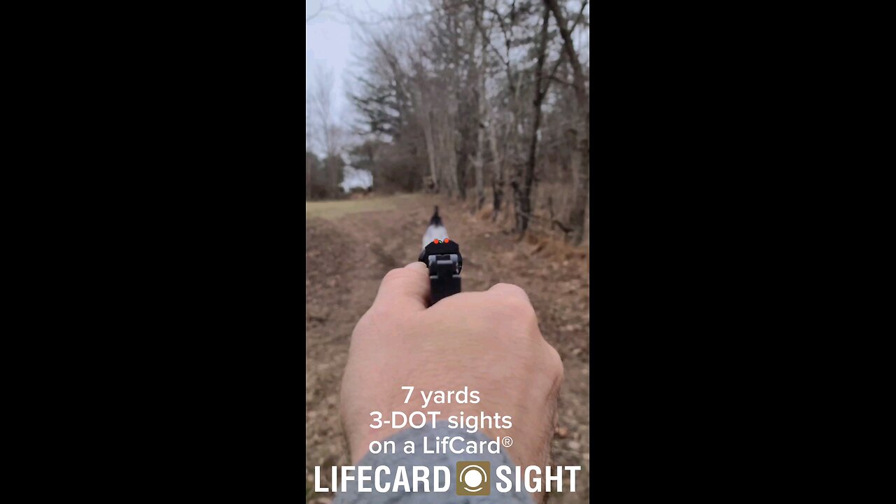 7 Yards with 3 Dot Sights on a LifeCard® Pistol