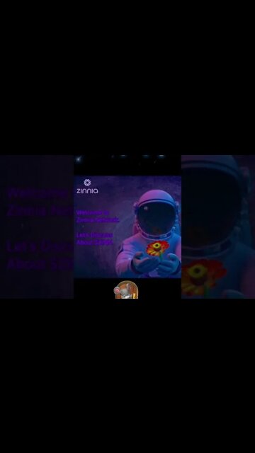 What is $Zinn? Zinn coin or Zinn token?