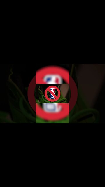 Secretly Playing SPRING LOADED SHOES