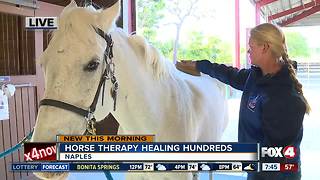 Horse therapy healing hundreds in Naples - 7:30am live report