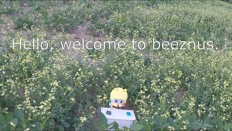 Hello, welcome to beeznus