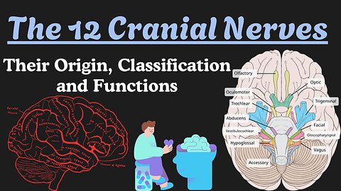 Cranial Nerve BASICS | The 12 cranial nerves and how to REMEMBER them! | Neurology