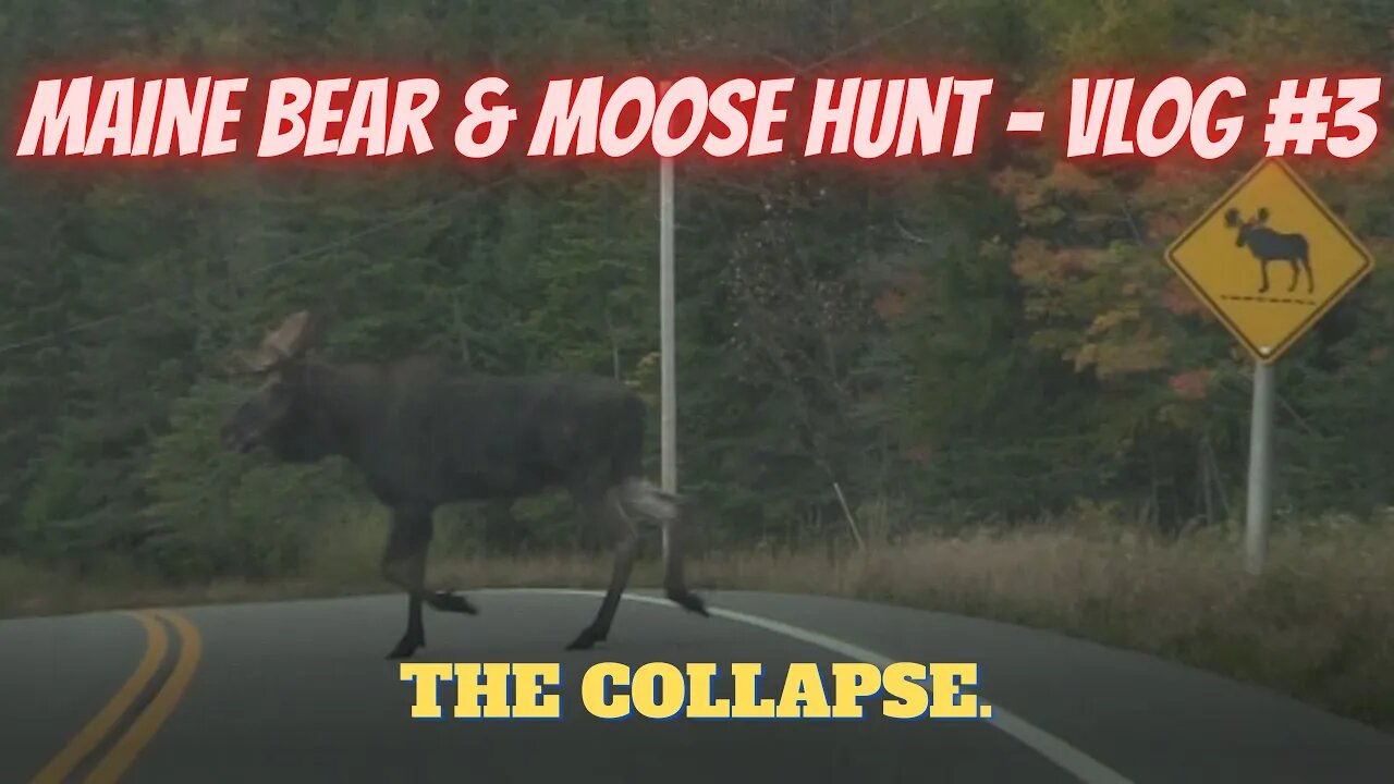 Maine Bear & Moose Hunting | VLOG 3