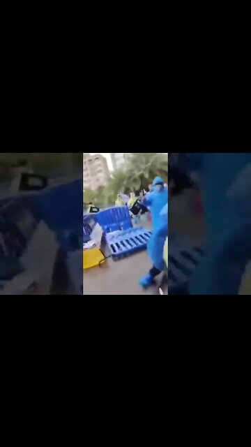 ۲۶ نوامبر ۲۰۲۲