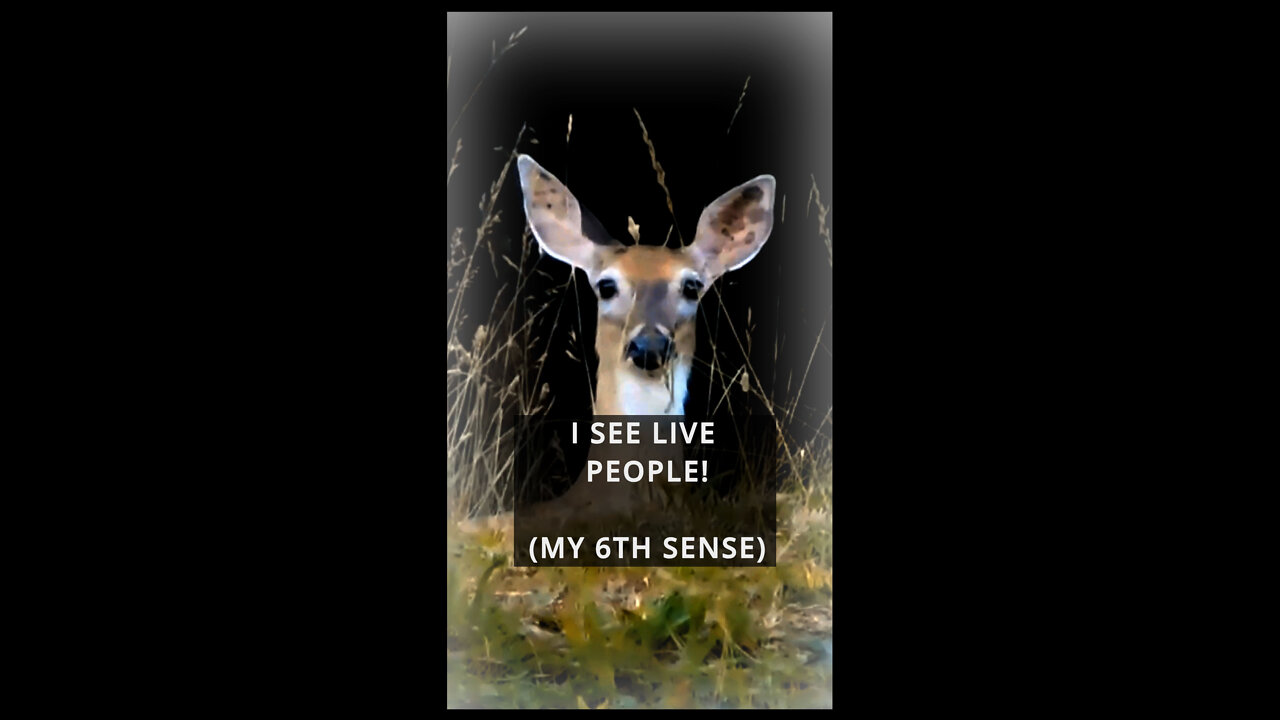 I See Live People – My 6th Sense