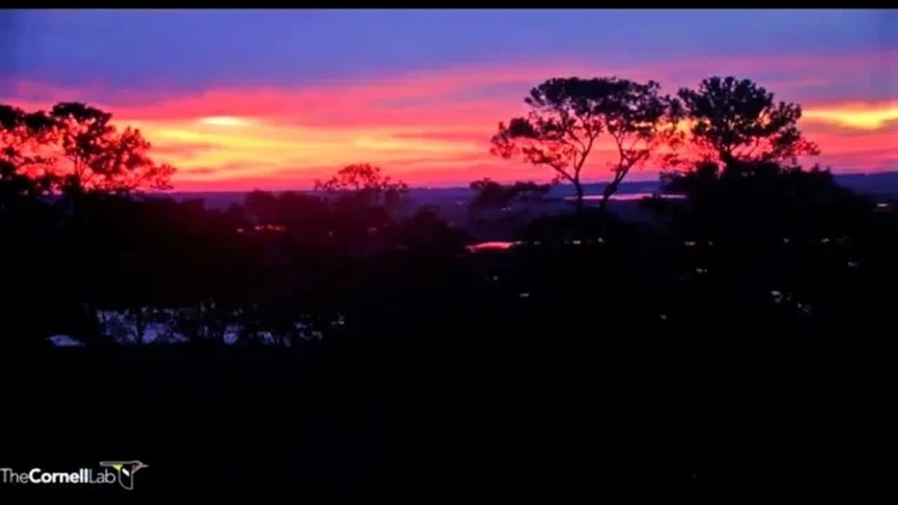 Sunrise Over Skidaway Island, GA 🌞 01/10/23 07/06