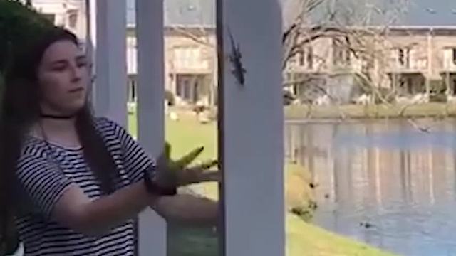 A Girl Freaks Out When A Lizard Jumps Onto Her Head