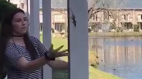 A Girl Freaks Out When A Lizard Jumps Onto Her Head