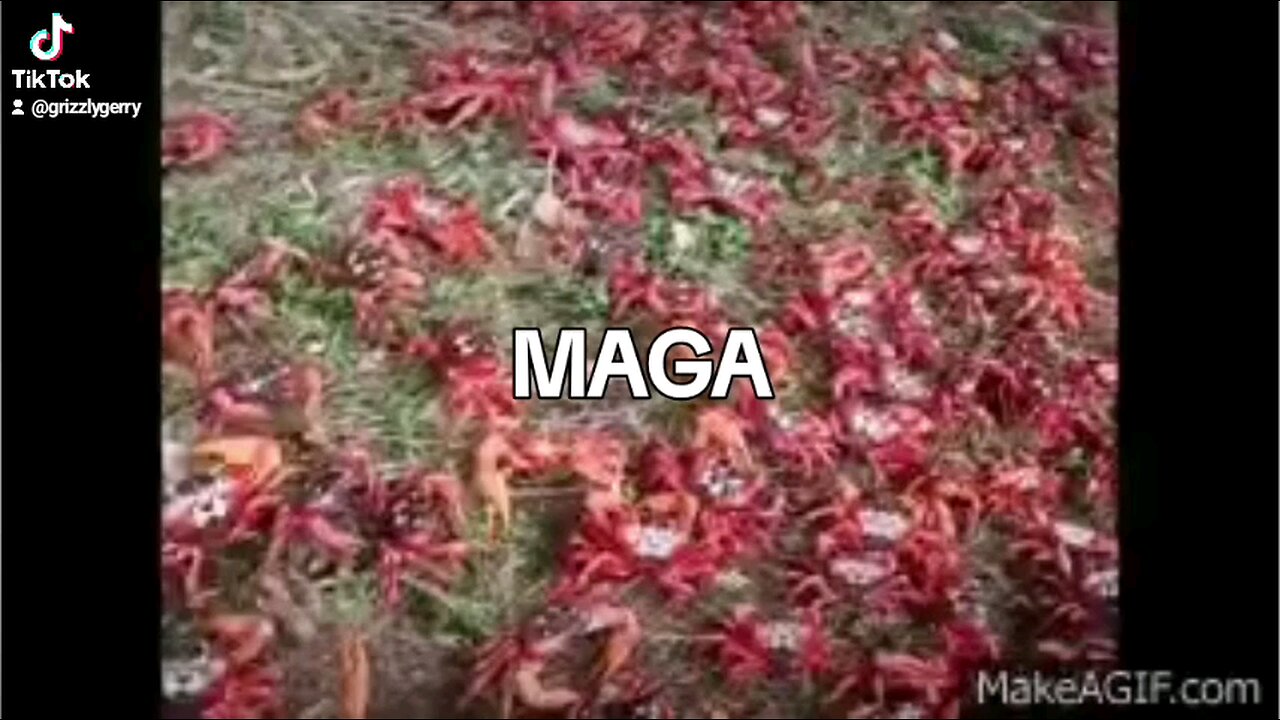 MAGA ON THE MOVE