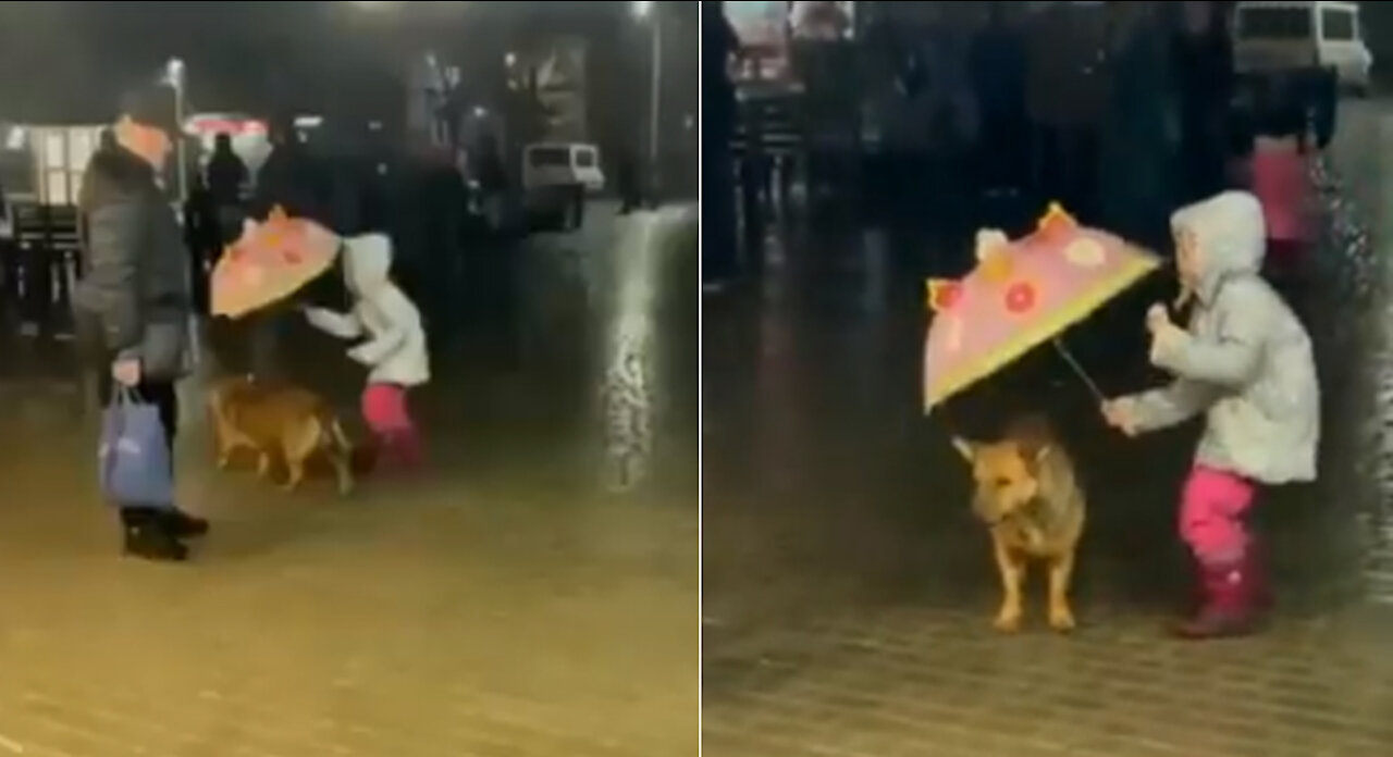 Small human, with the biggest heart trying to make sure this abandoned Dog is ok.