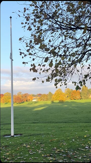 Uk Natural beauty#Nature walks#Uk shorts#Explore Nature#shorts videos