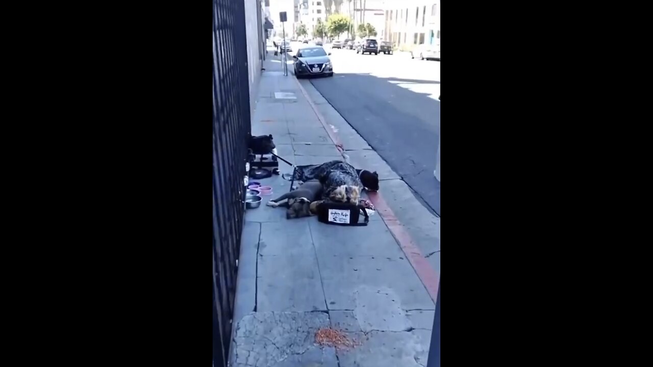 Mental illness, drug abuse, and homelessness everywhere in Hollywood California