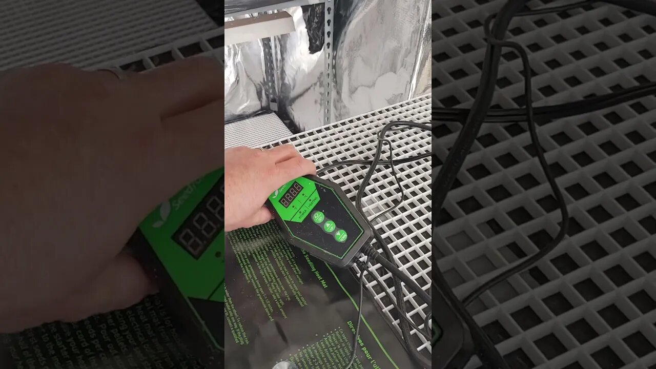 Comparing seed trays, heating pads #growroom #germination #garden