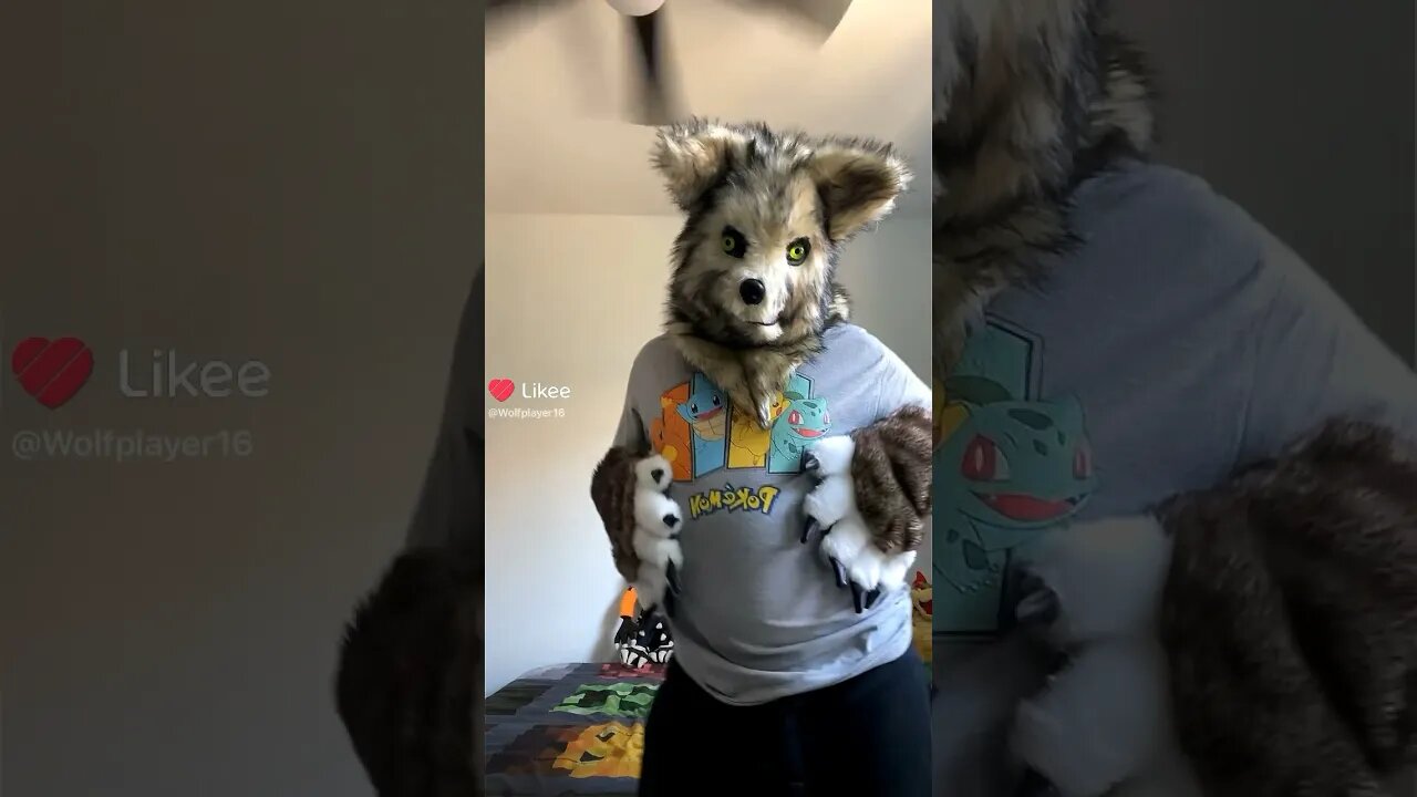 Hate Me All You Want But I Will Still Thrive! #shorts #furry #furryfandom #fursuit #fursuiter