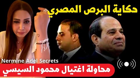 نرمين عادل📌محاولة اغتـ ـيال محمود السيسي وحكاية البرص المصري🔴تابع