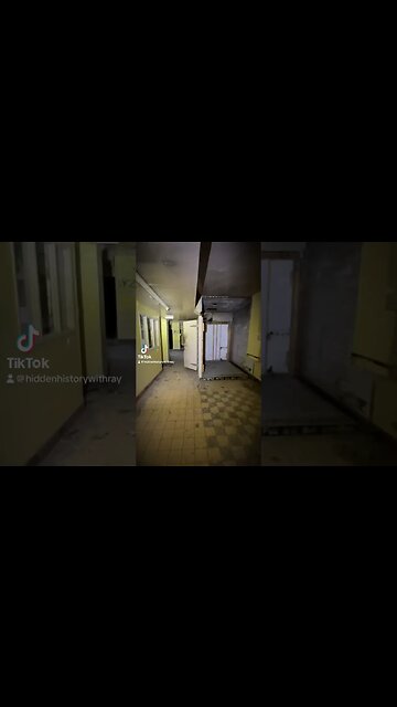 Escape the Nightmare: Pigeon Plague in Hotel