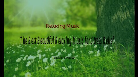 The Best Beautiful Relaxing Music for Stress Relief