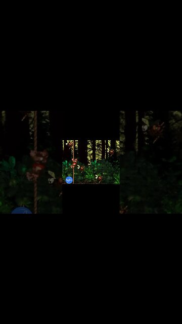 This level had us buzzing around bees! #nintendo #retrogaming #donkeykong