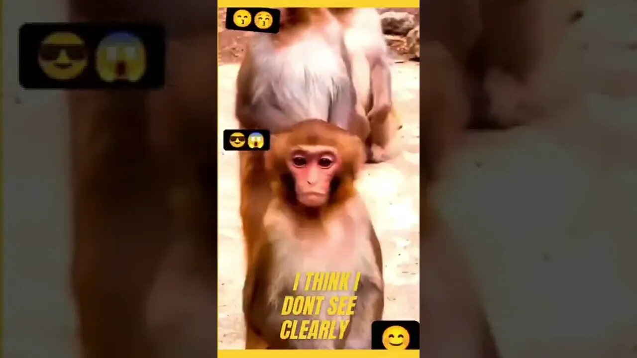 Is this even real?