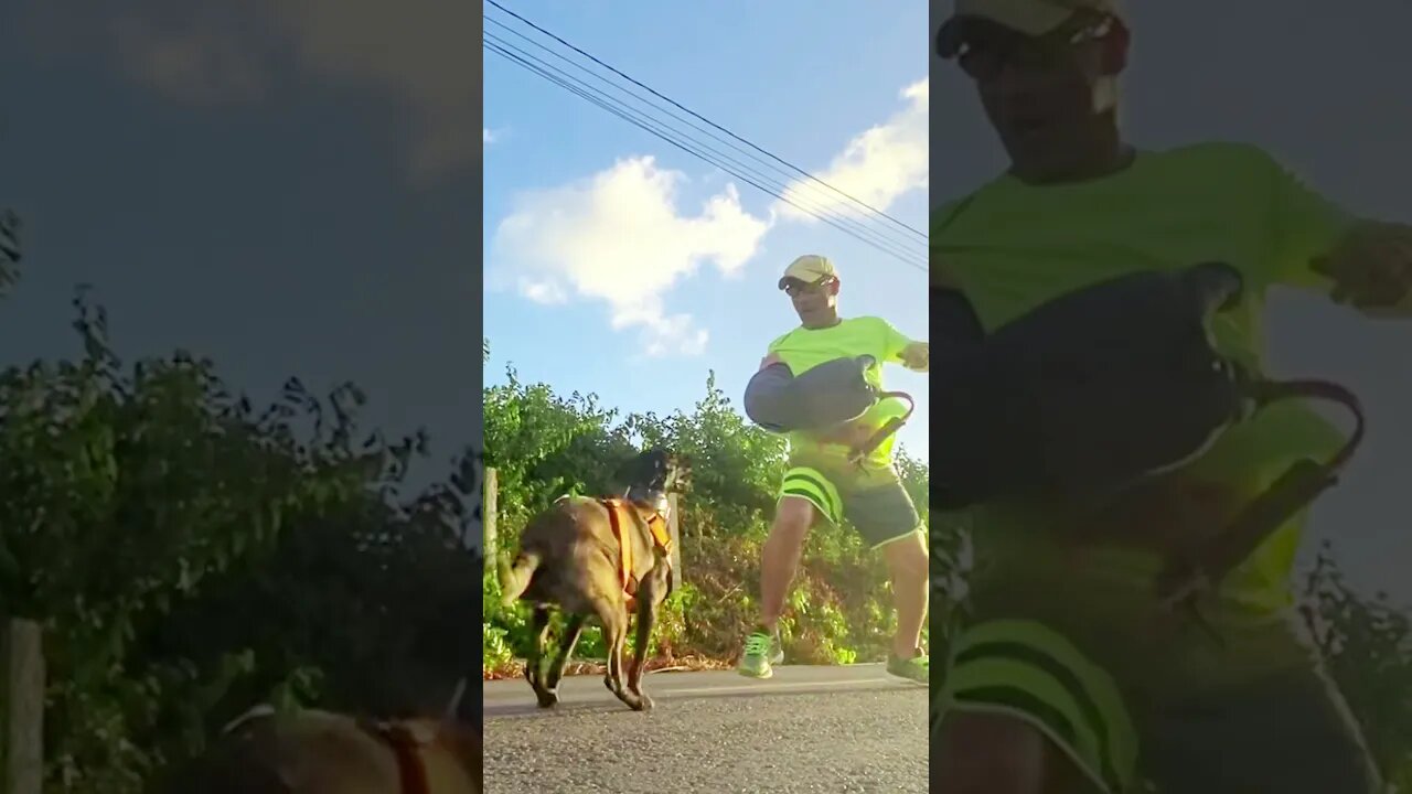 SIMULANDO SAQUE DE ARMA DA CINTURA SEM COMANDO