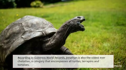 Jonathan the tortoise, world’s oldest land animal, celebrates his 190th birthday