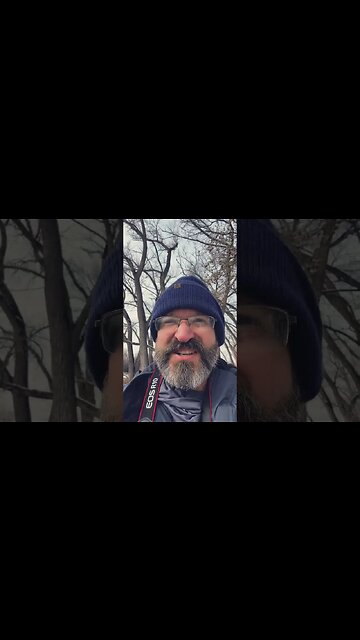 First 2023 Photography shoot - Wildlife - Macro - Woodland Photos