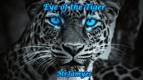 MrJamyes - Eye of the Tiger