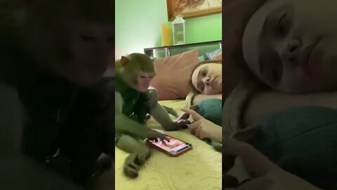 friends#monkey#tiktok #funny #friends