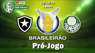 Pré-Jogo Botafogo x Palmeiras - Veja onde assistir, escalações, desfalques e arbitragem