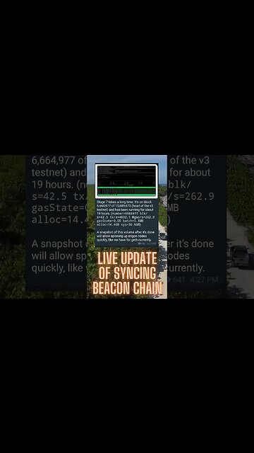 Live Update Of Syncing Beacon Chain From Richard Heart!