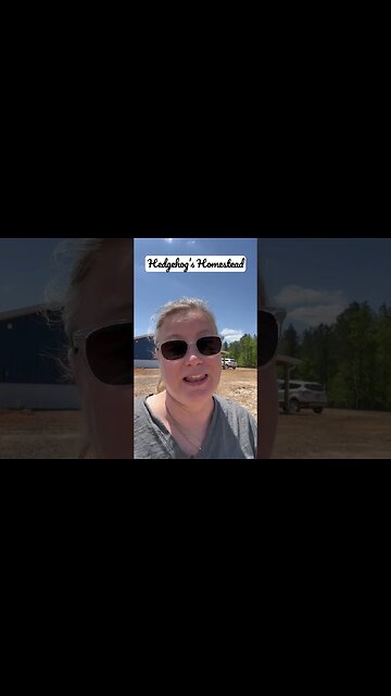 Cardboard and gardening #hedgehogshomestead #gardening